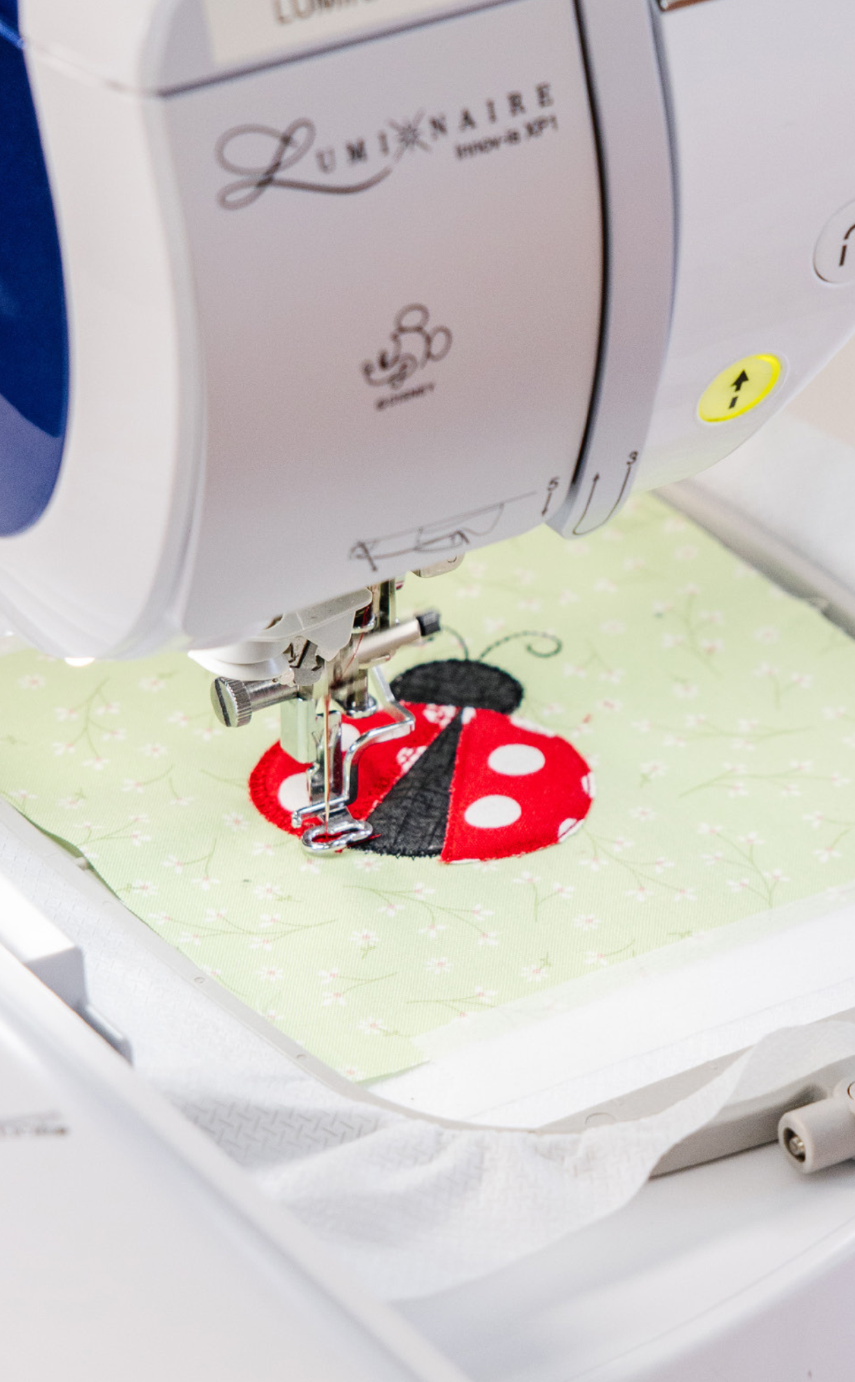 Mystery Wallflower Quilt - Kimberbell DDE 2025