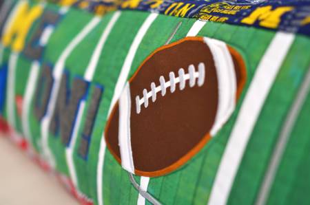 "Game On" Bench Pillow