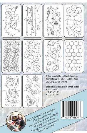 Edge-to-Edge Quilting on your Embroidery Machine Expansion Packs