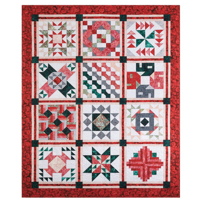 Learn as You Go: Stitch the Daydream Sampler Quilt Pattern Book