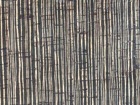 ScanNCut Class - How to use the Rotary Blade!