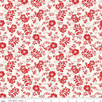 Miscellaneous Prints By Riley Blake Designs