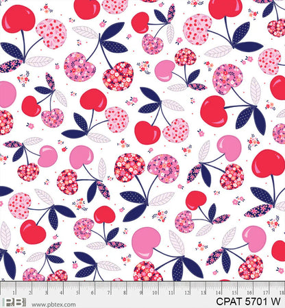 Clearance Fabric