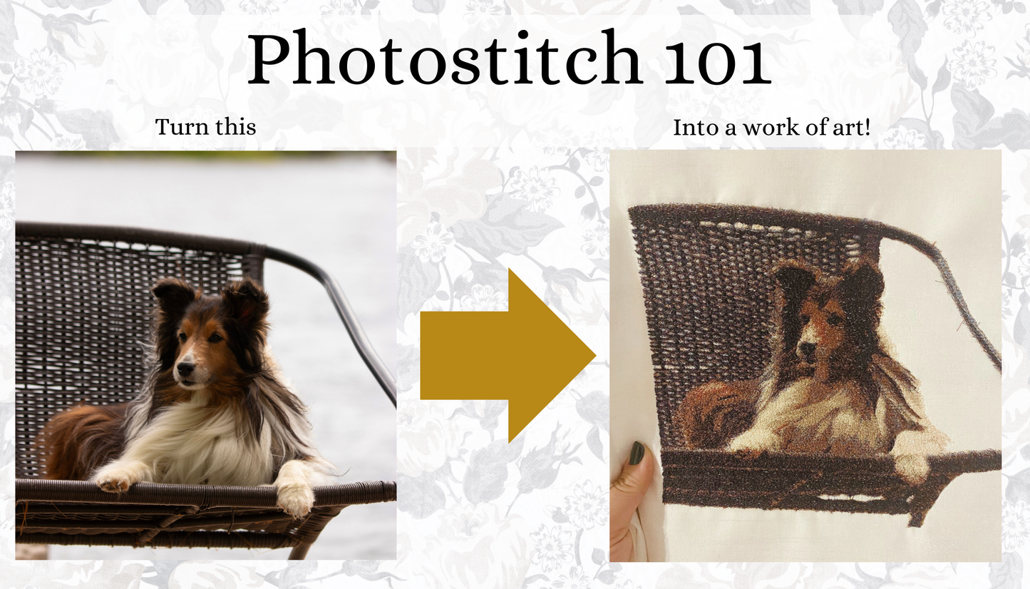 Photostitch 101 with Tucker!
