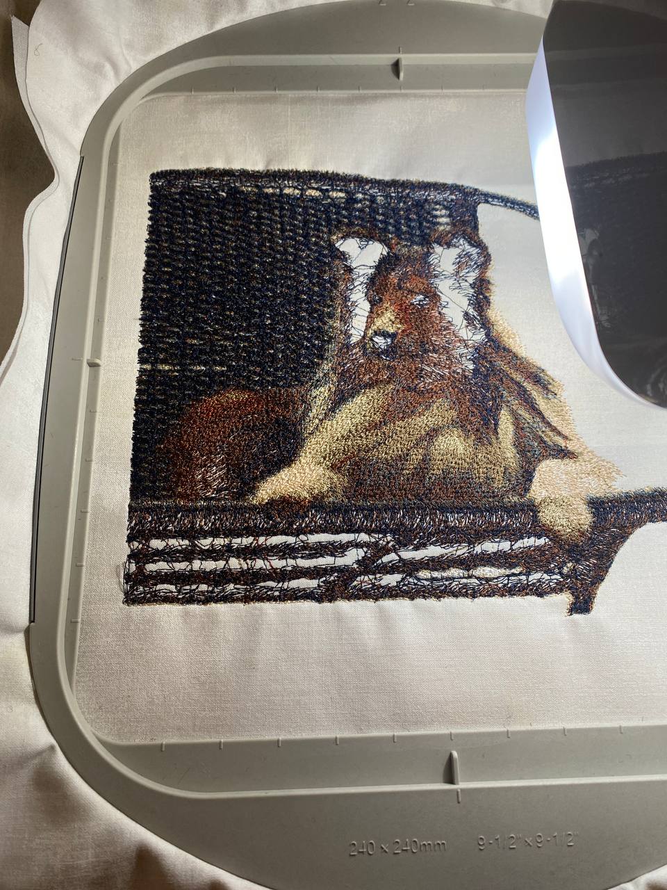 Photostitch 101 with Tucker!