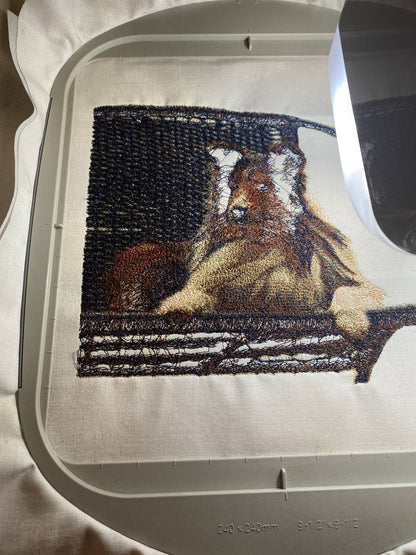 Photostitch 101 with Tucker!