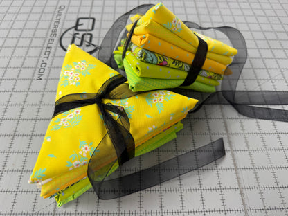 Tula Pink Half-yard bundles