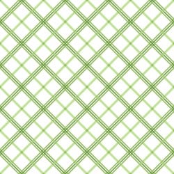 Cozy Cotton Flannel by Maywood Studios - Kimberbell Basics