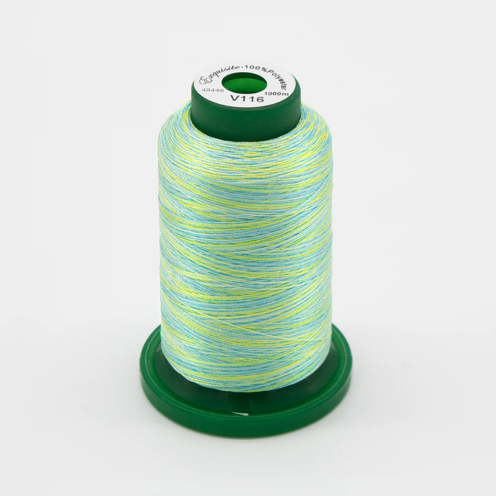 Medley Variegated Embroidery Thread, 40 weight – Leabu Sewing Center