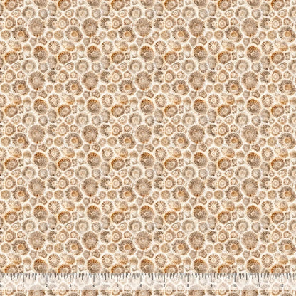 Shop Hop Fabric Collection 2026