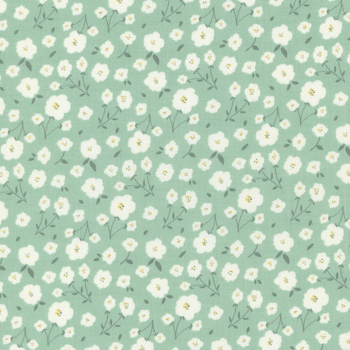 Miscellaneous Prints By Riley Blake Designs