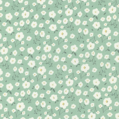 Miscellaneous Prints By Riley Blake Designs
